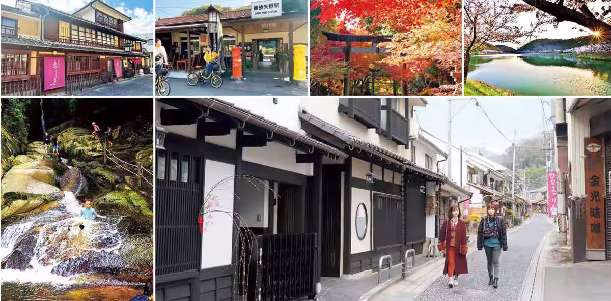画像8