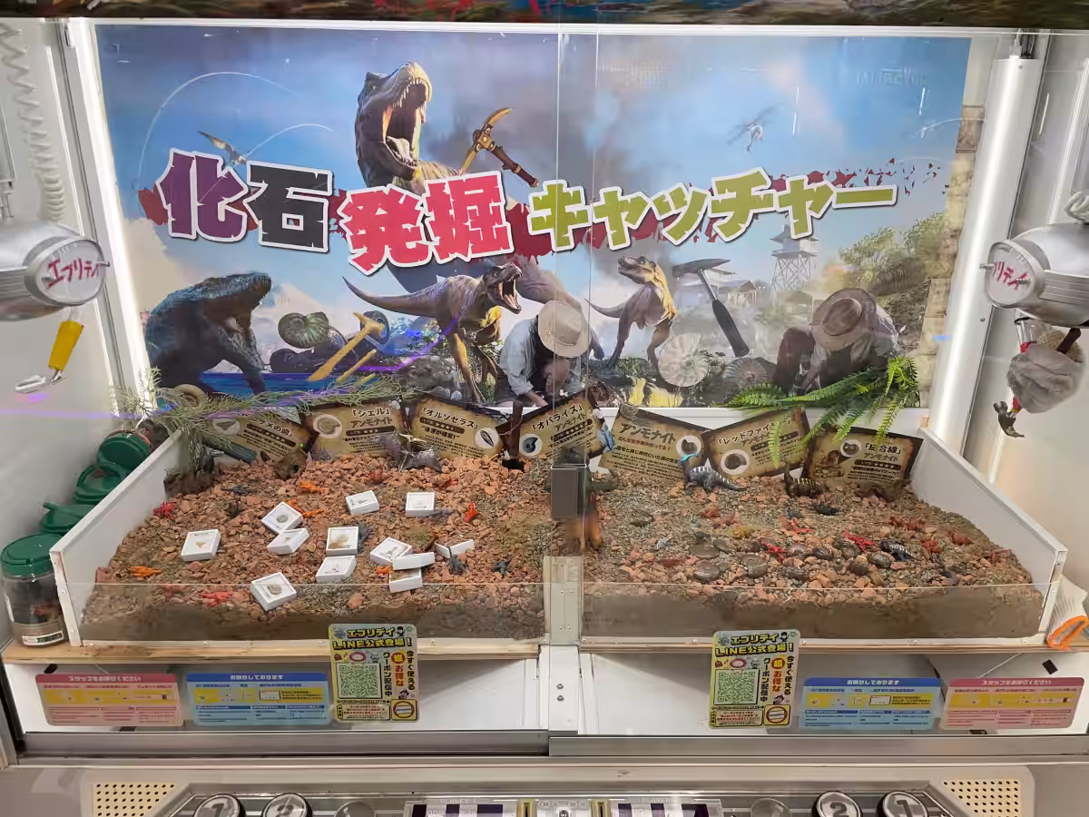 画像6