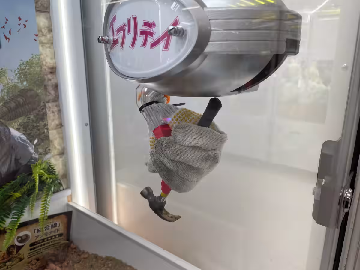 画像8