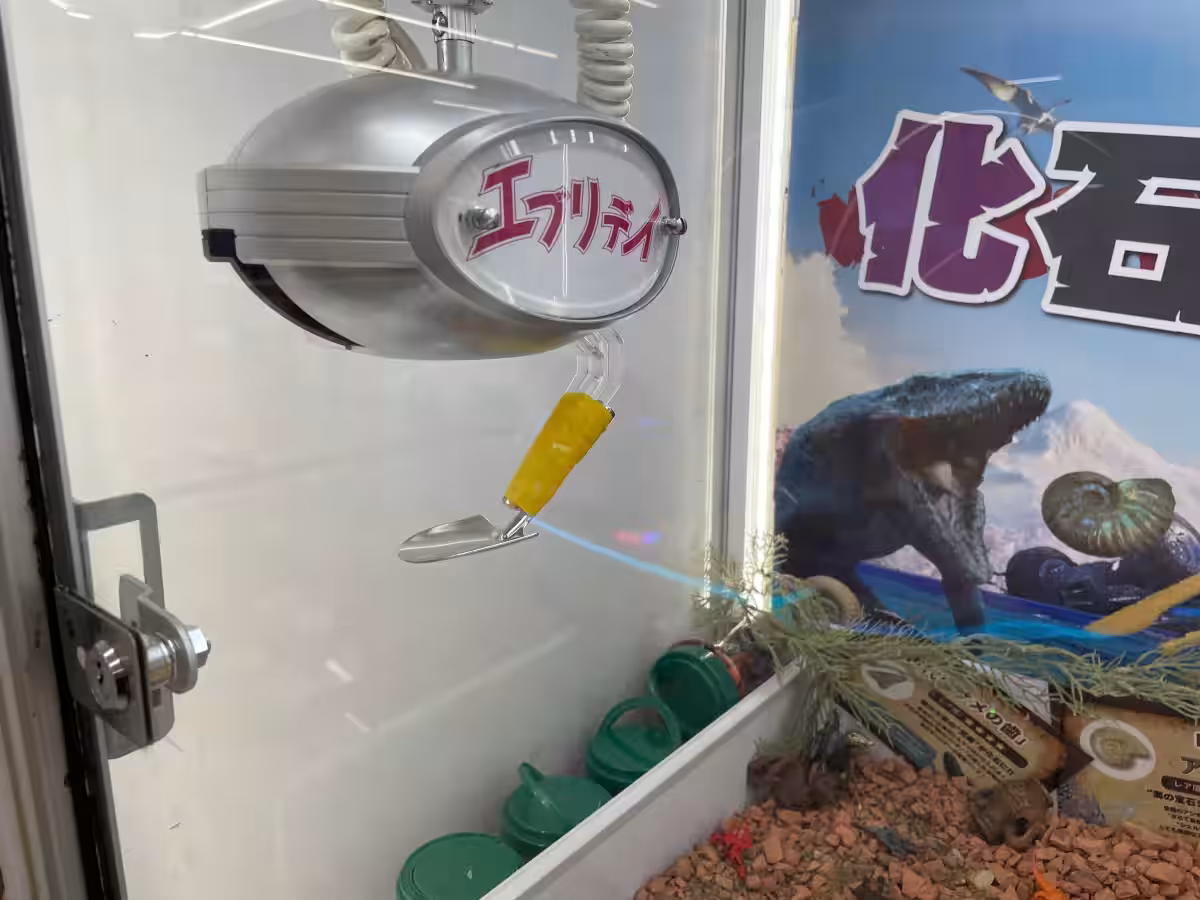画像7