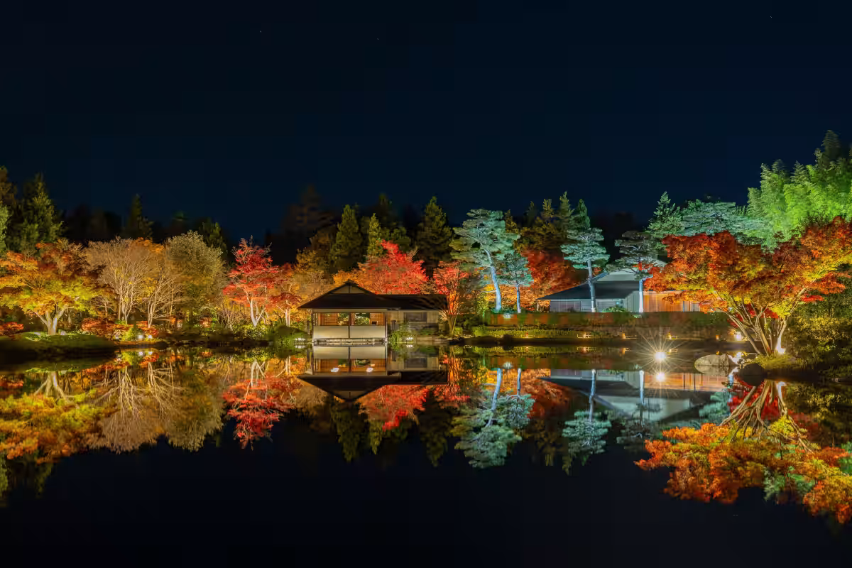 画像8