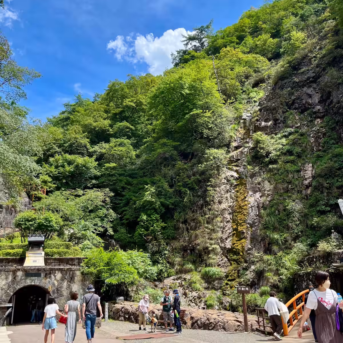 画像8