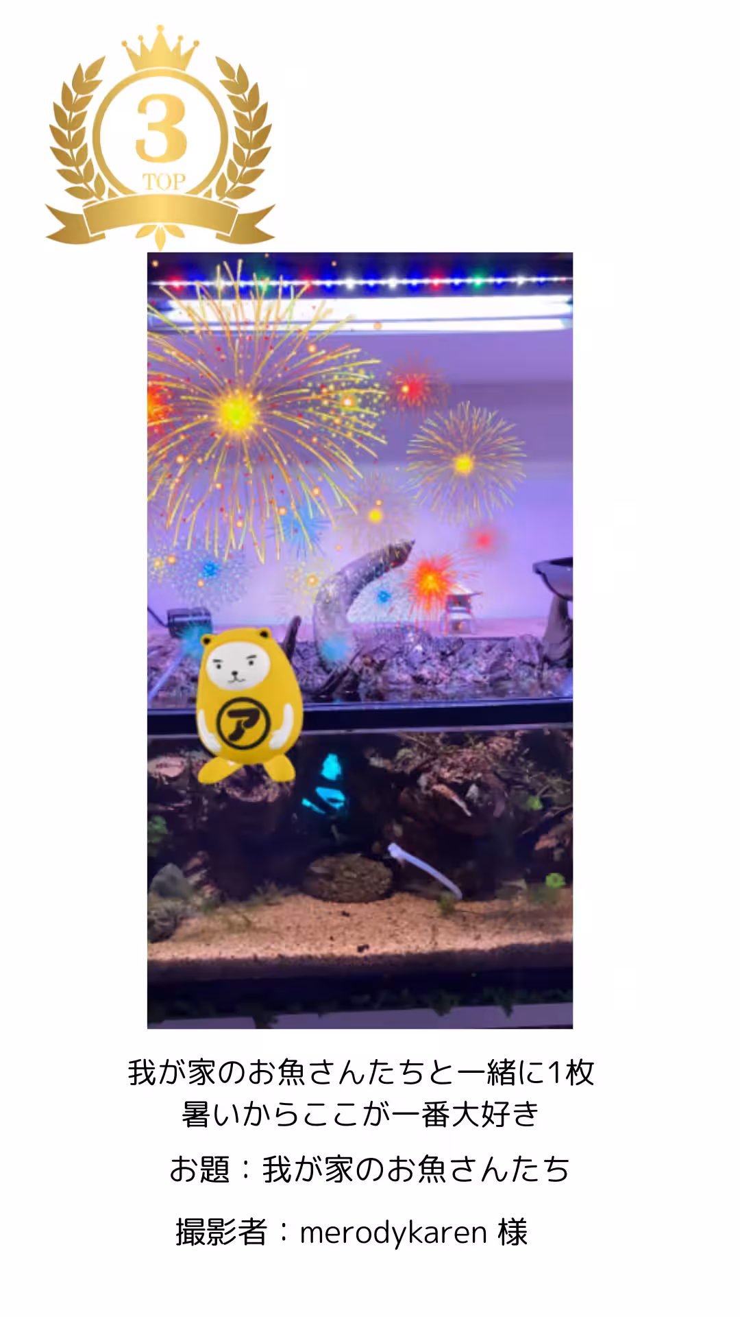 画像7