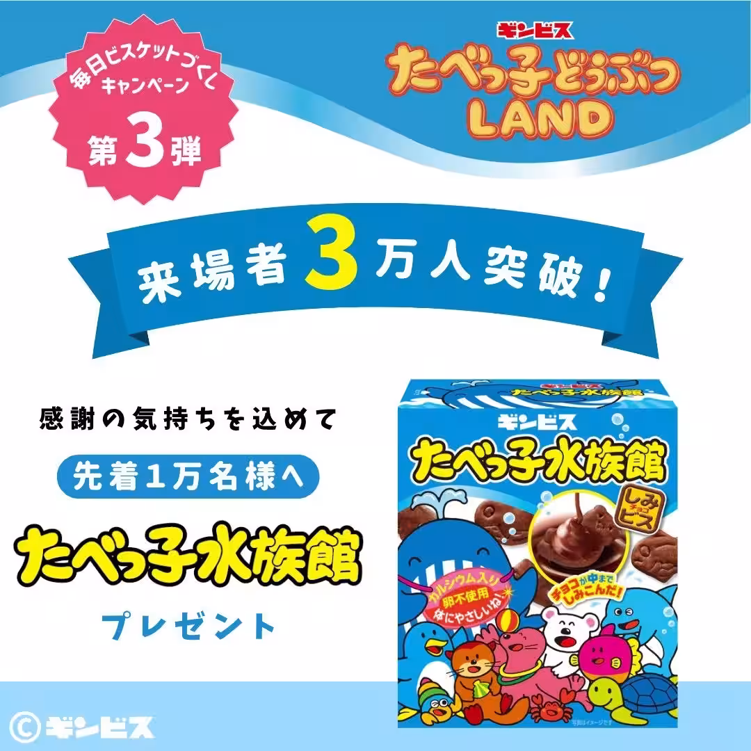 画像12