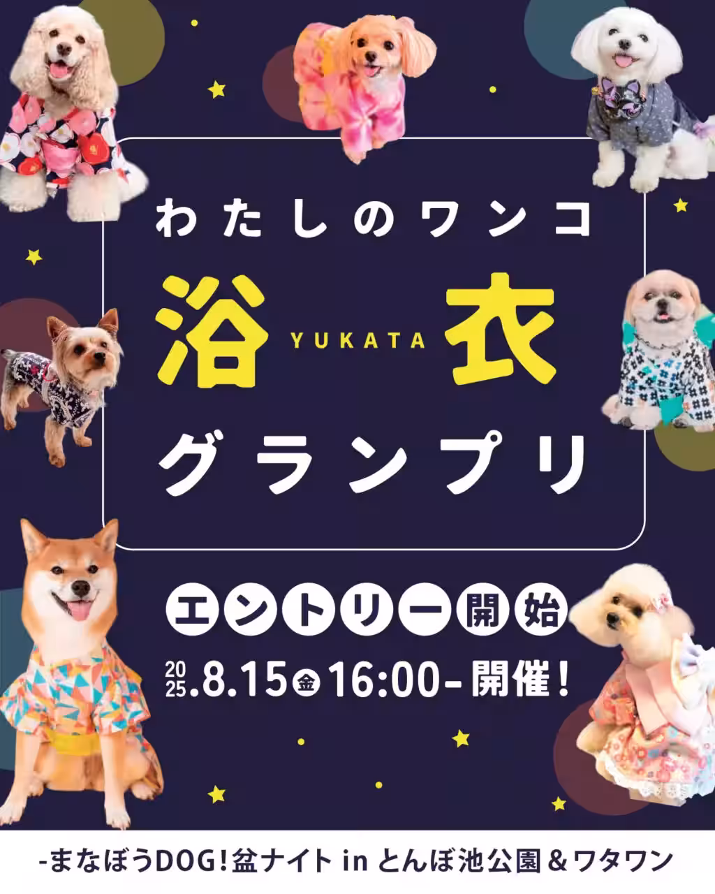 画像8