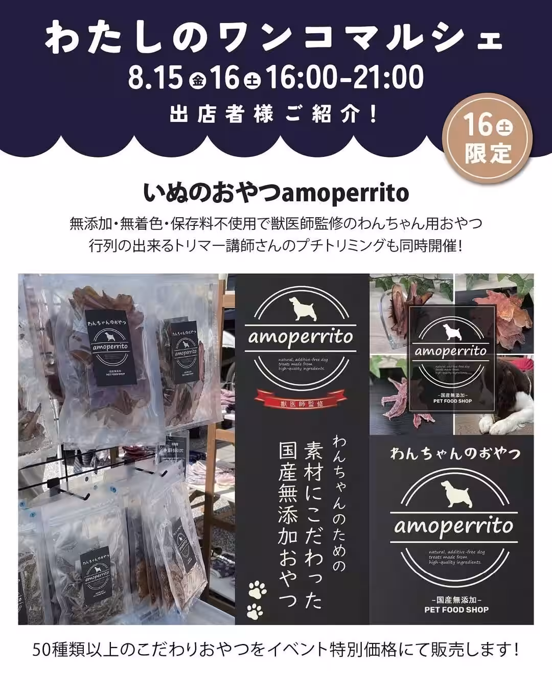 画像14