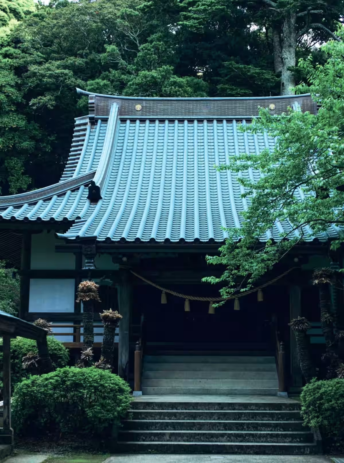 画像7