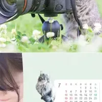 三吉良典のカレンダー