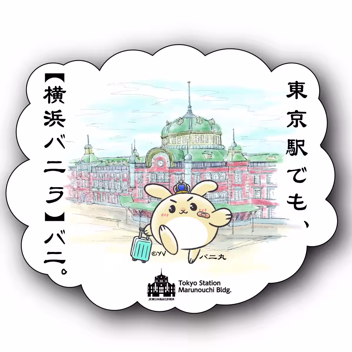 画像15