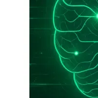 Faber Companyの新サービス