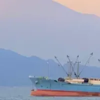 NexusWave導入の意義