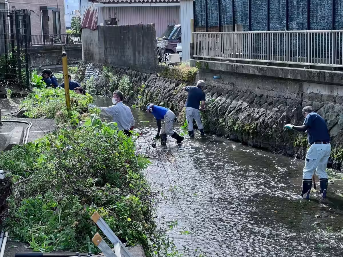 画像4
