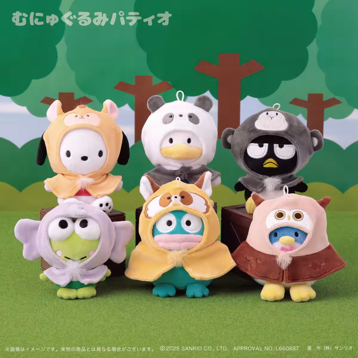 画像5