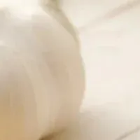 大任町のニンニク球