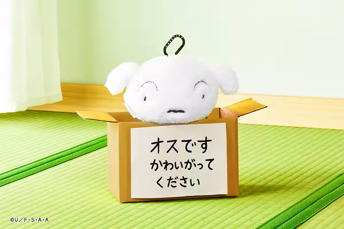 画像6