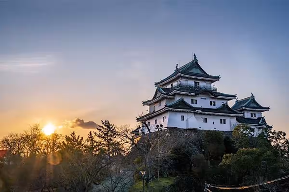 画像5