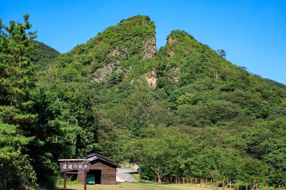 画像1