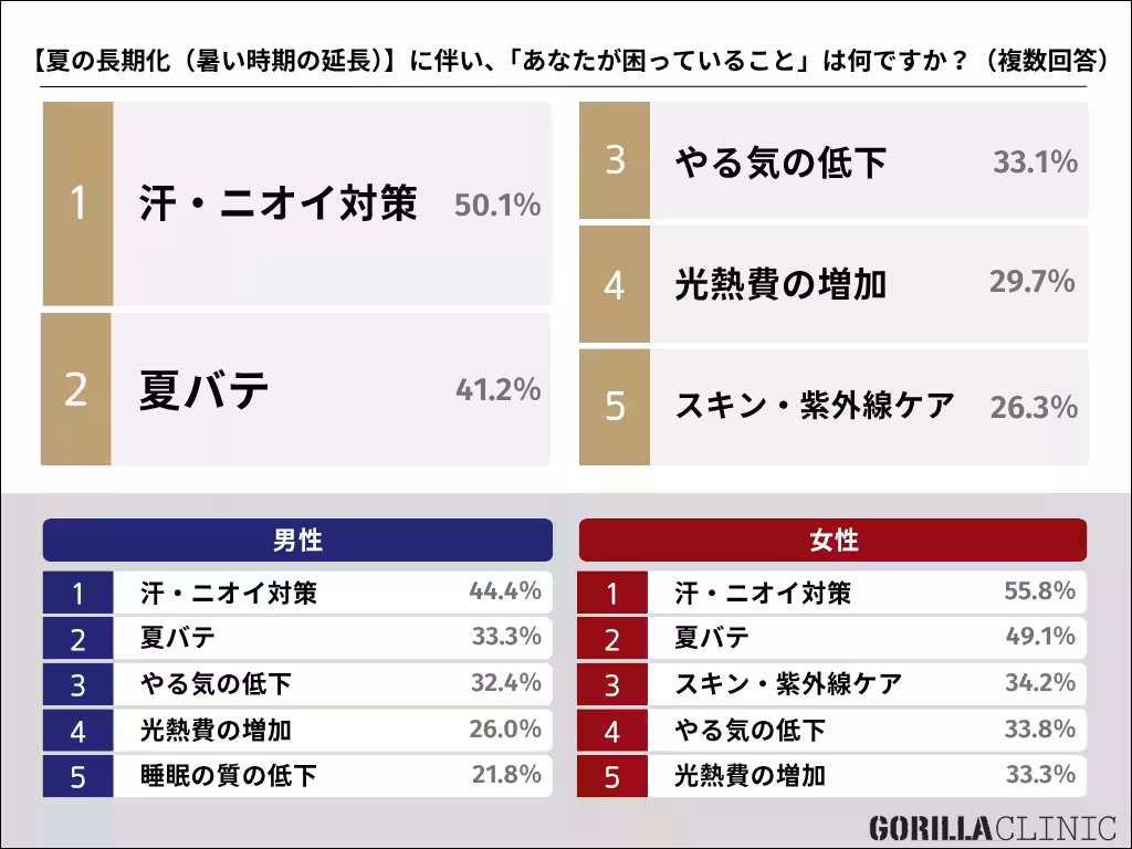 画像12