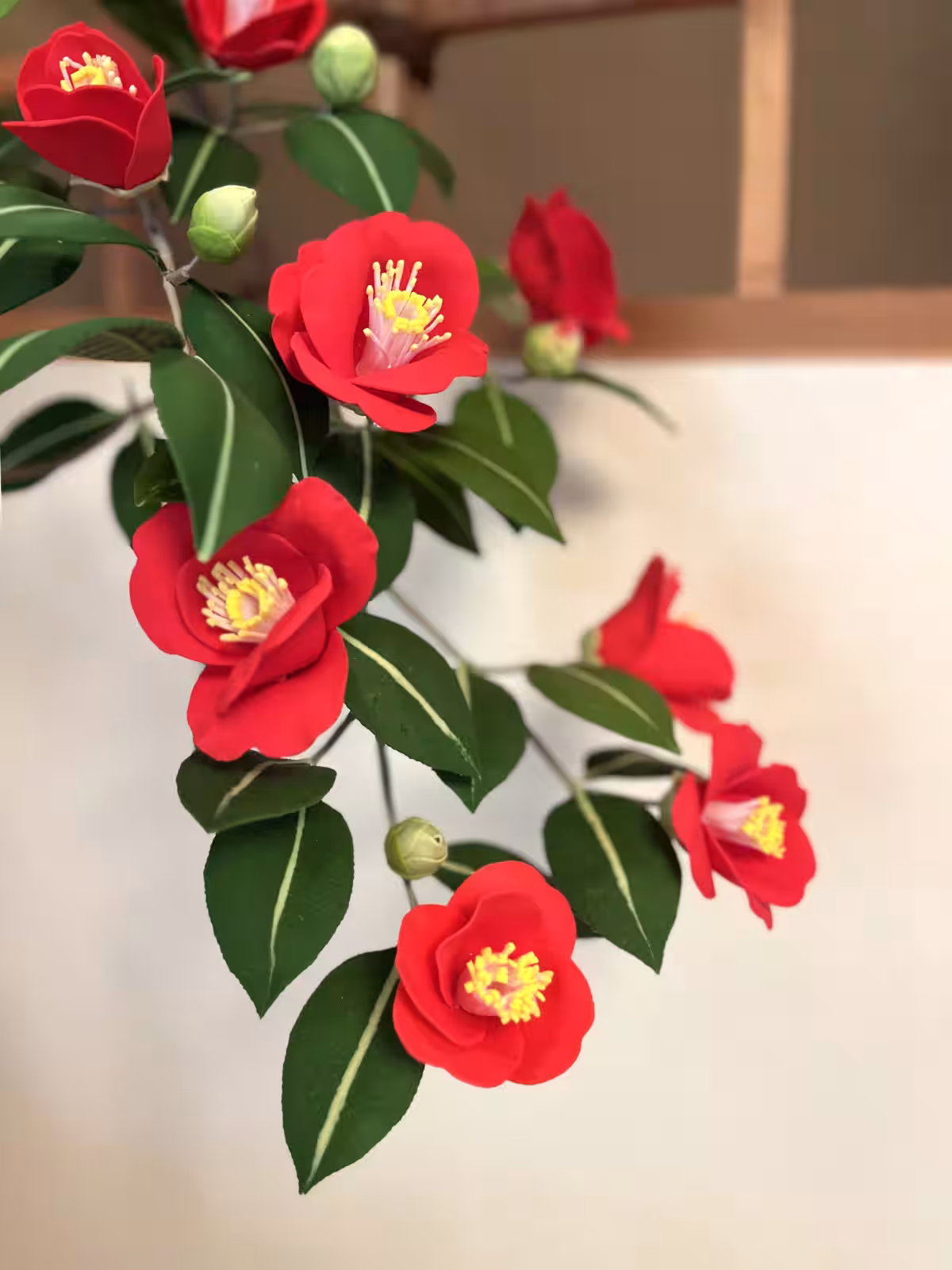 画像8