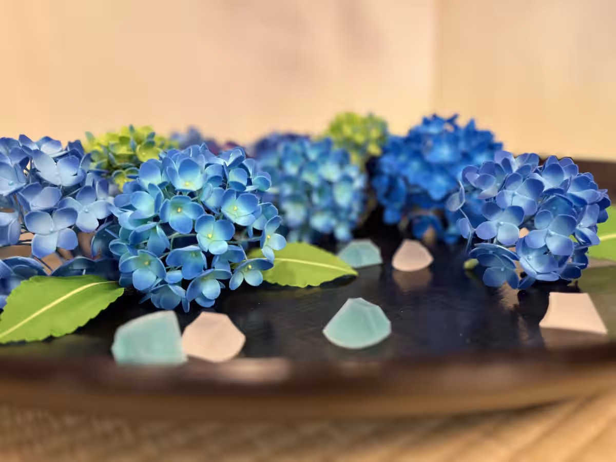 画像14
