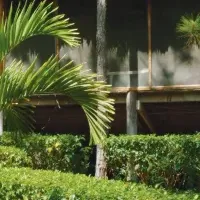 ビヨンド グリーン新加盟