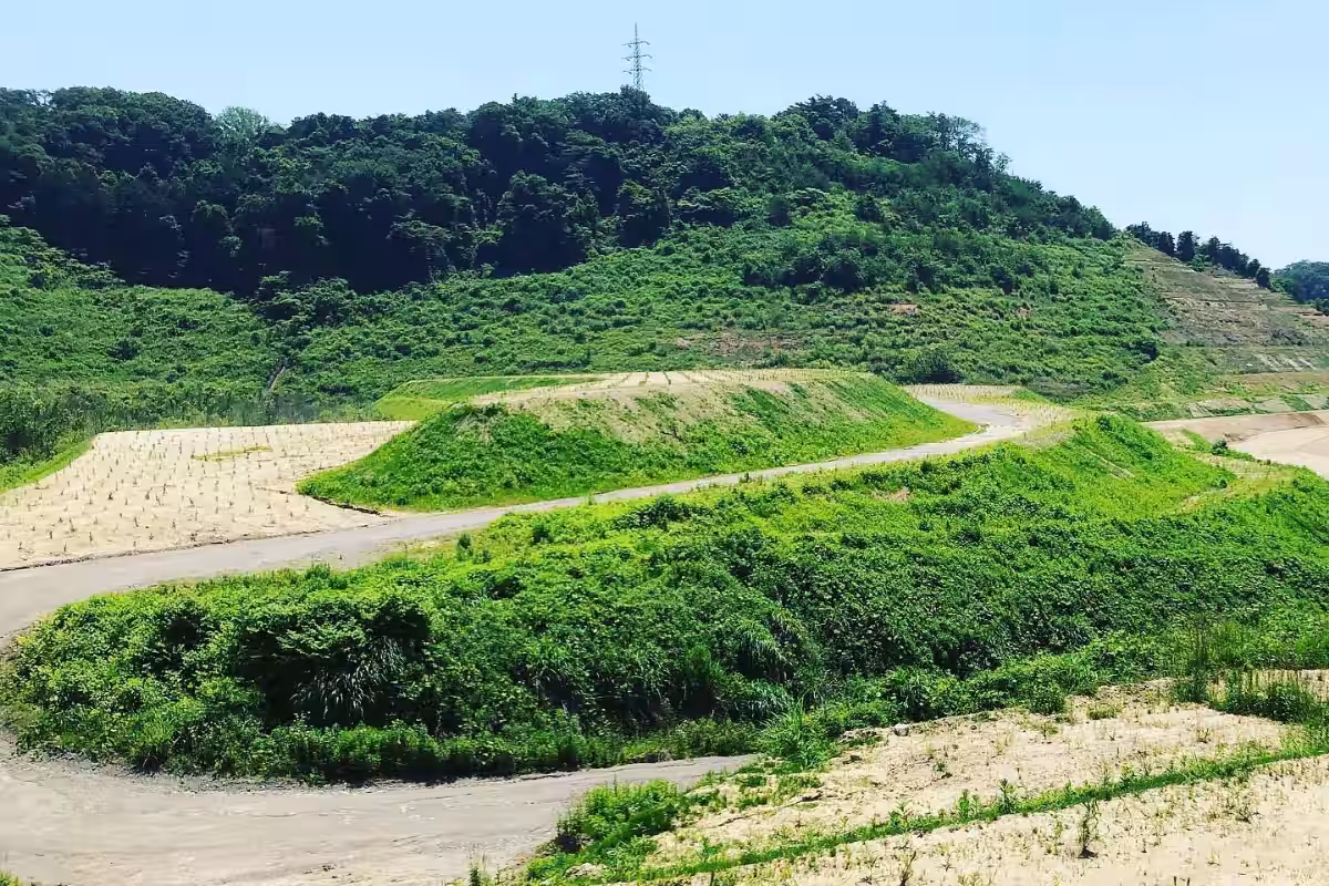 画像8