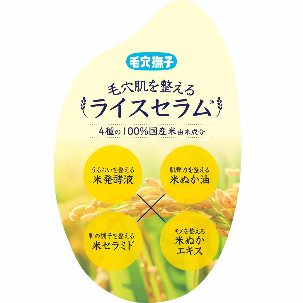 画像12