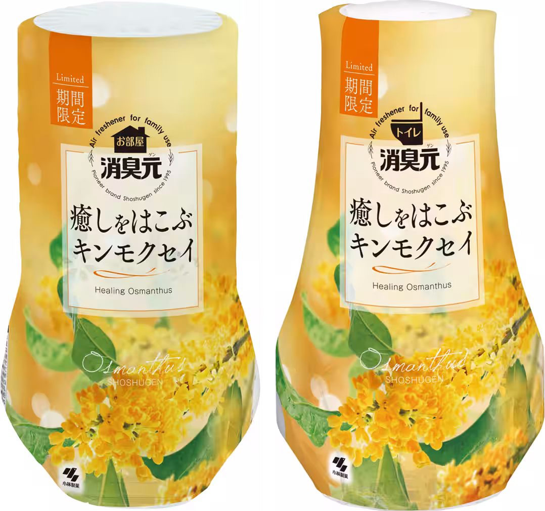 画像6