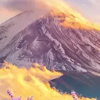 INNOCNの新モニター