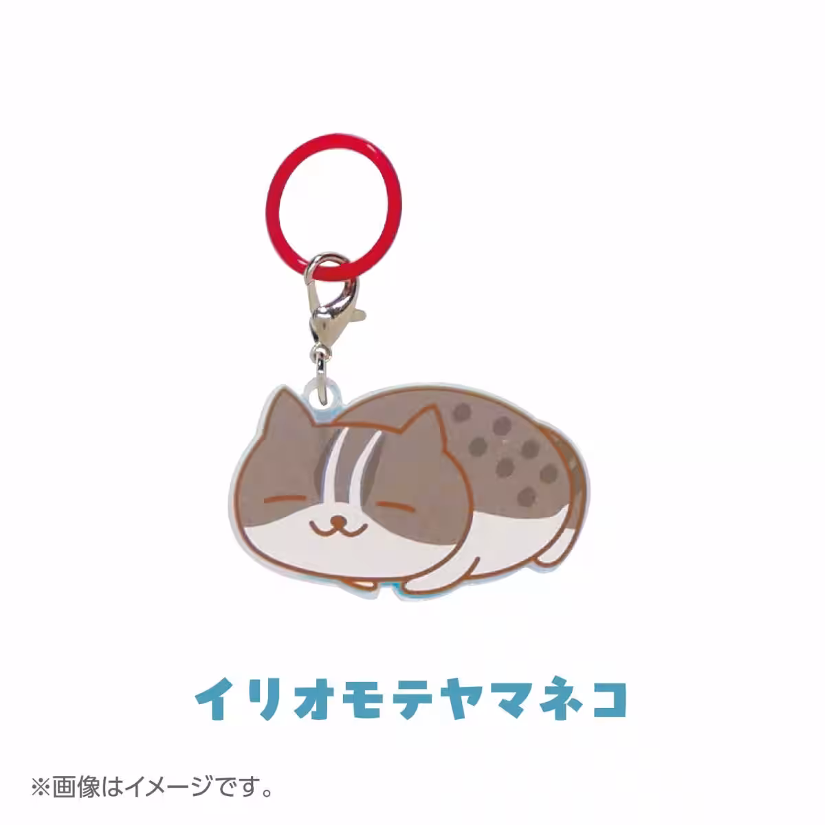 画像5