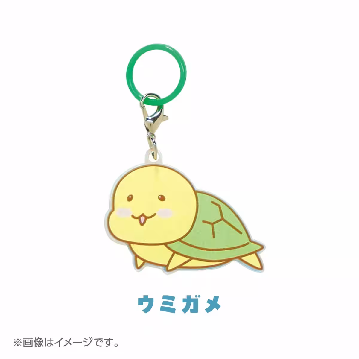 画像6