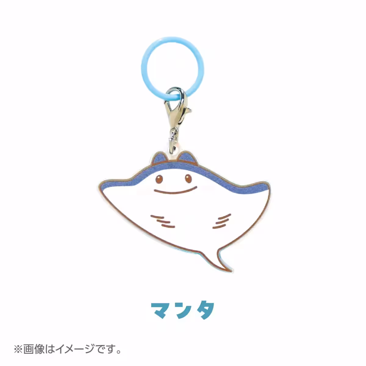 画像9