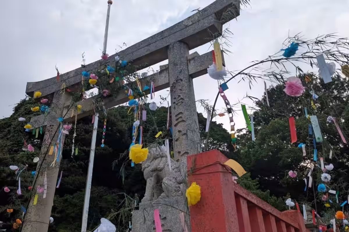 画像6