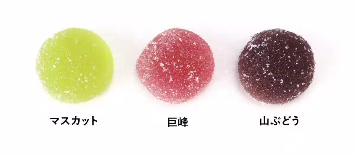 画像9