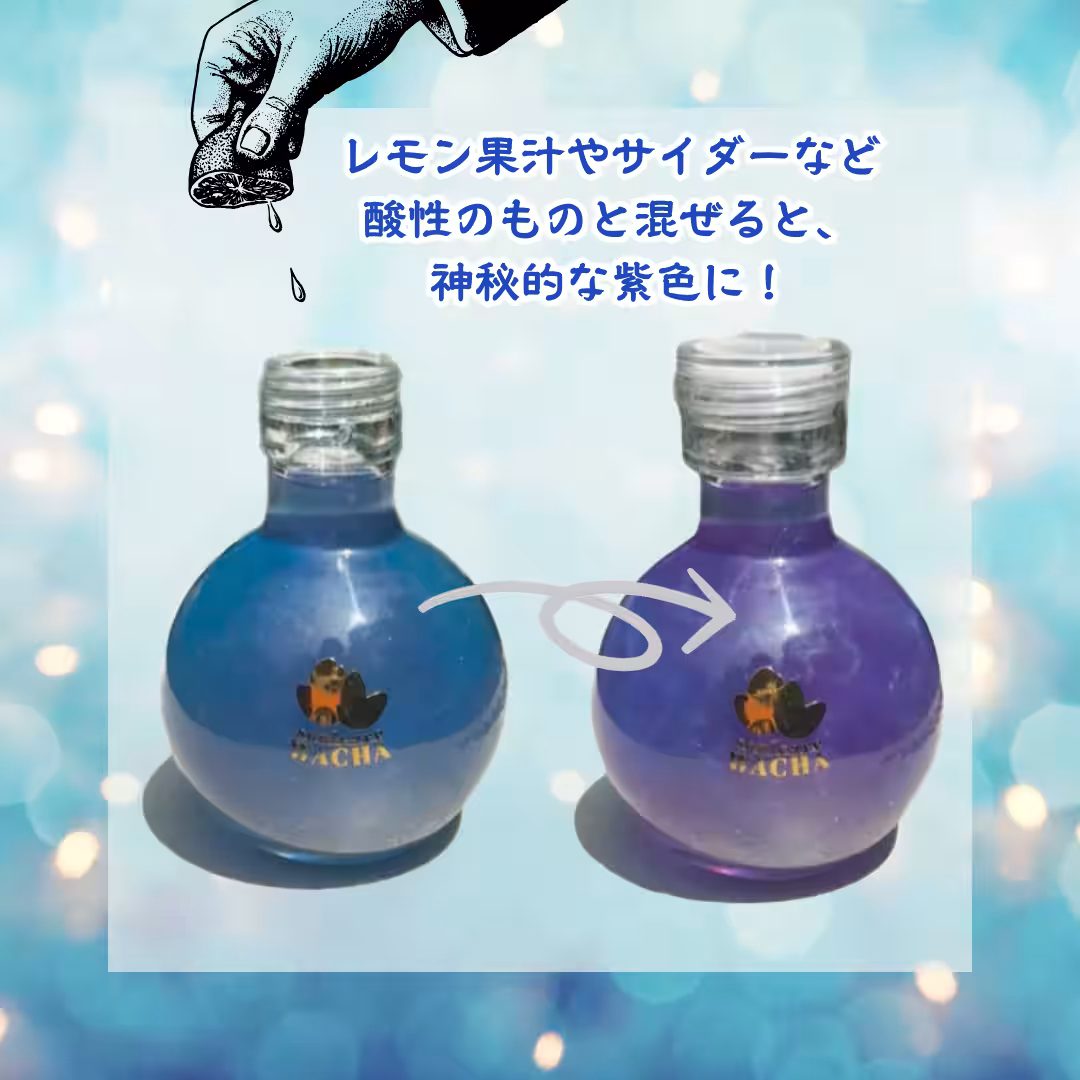画像5