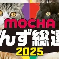 猫の祭典開催