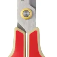 限定レトロカラー