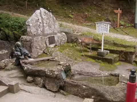 画像11