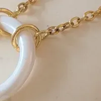 「ファッション名刺」登場