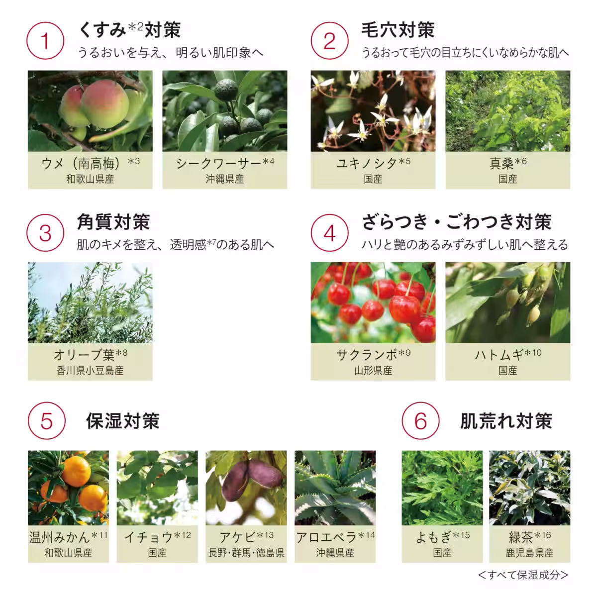 画像13