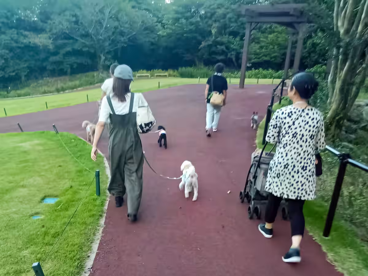 画像10