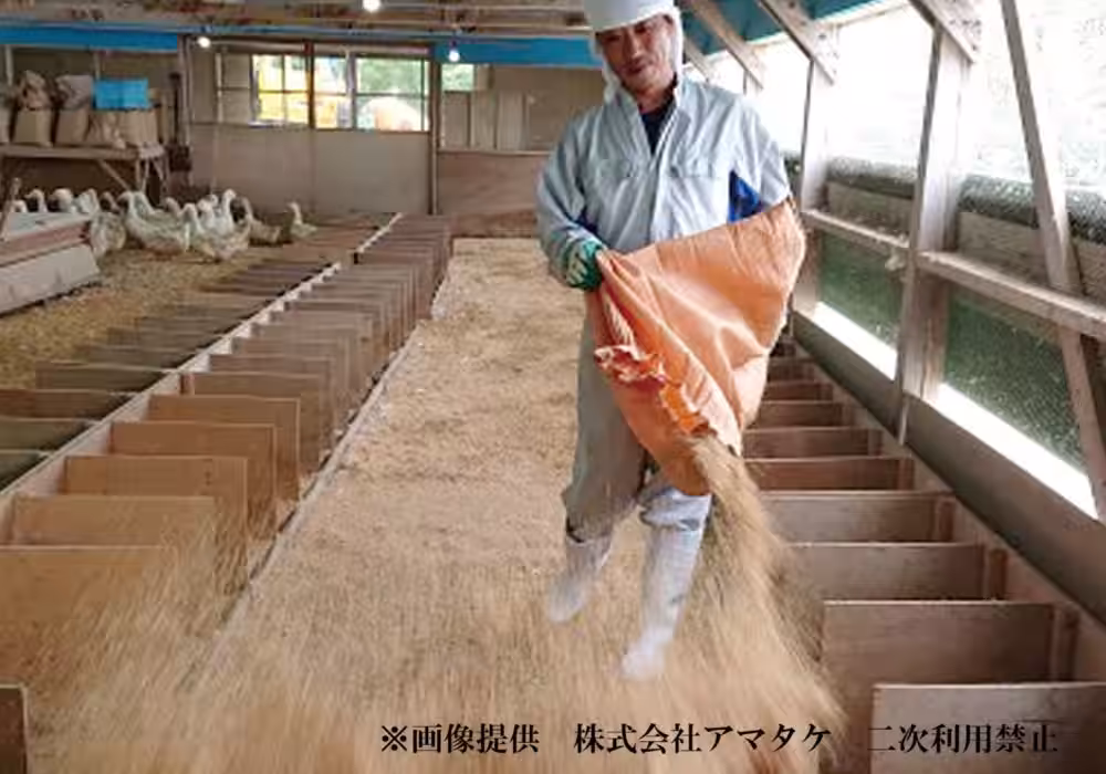 画像5