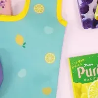 ピュレグミ文具特集