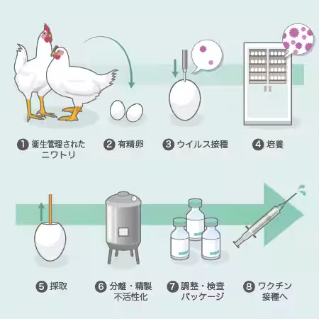 画像13