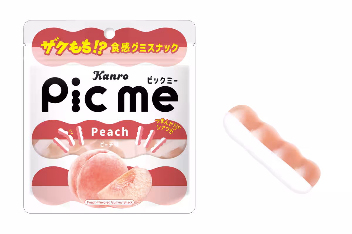 画像12
