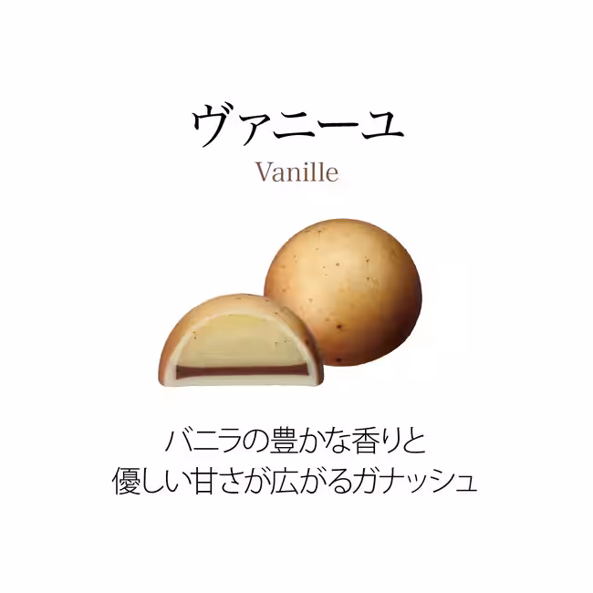 画像26