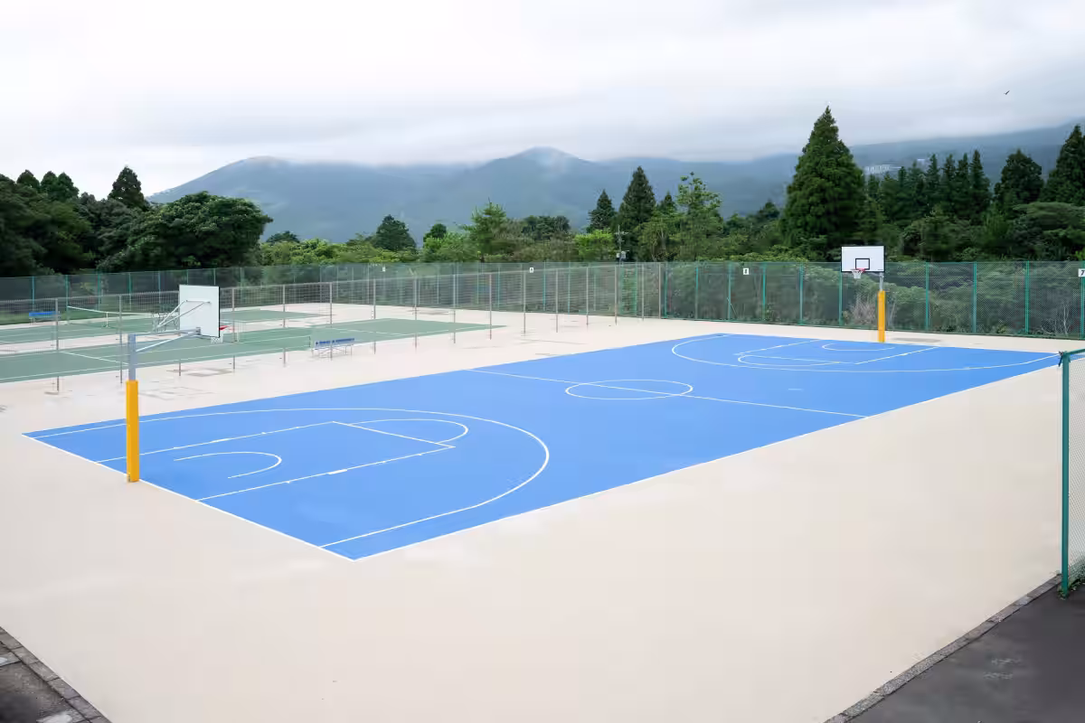 画像6