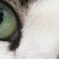 腎臓病早期発見