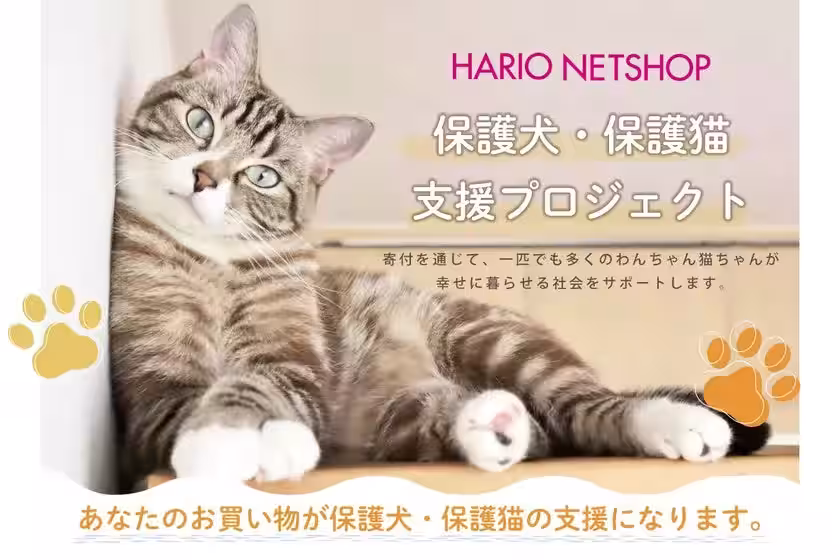画像15