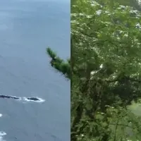 日本海の森と気候